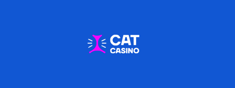 Обзор онлайн-казино Cat
